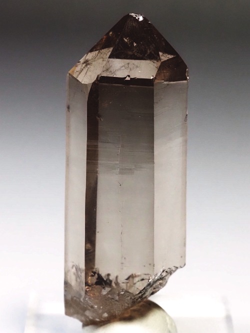 �X���[�L�[�N�H�[�c�X�C�X�A���v�X�����P���� 62mm 41g (36-42)