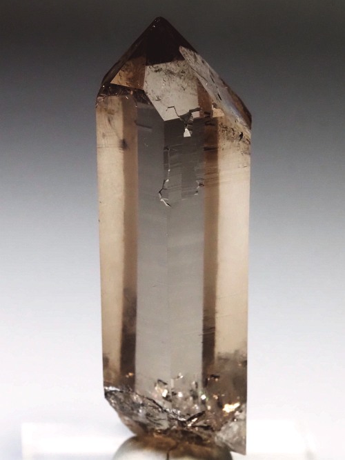 �X���[�L�[�N�H�[�c�X�C�X�A���v�X�����P���� 62mm 41g (36-42)