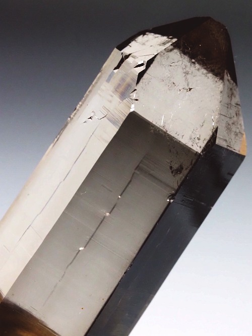 �X���[�L�[�N�H�[�c�X�C�X�A���v�X�����P���� 62mm 41g (36-42)