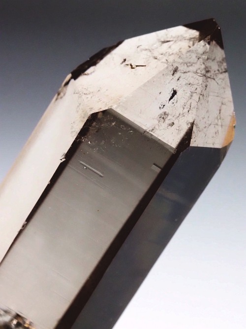 �X���[�L�[�N�H�[�c�X�C�X�A���v�X�����P���� 62mm 41g (36-42)