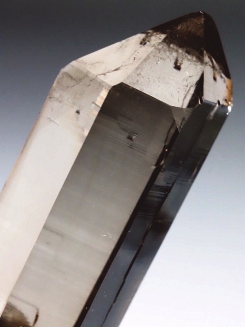 �X���[�L�[�N�H�[�c�X�C�X�A���v�X�����P���� 62mm 41g (36-42)