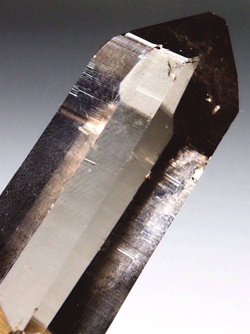 �X���[�L�[�N�H�[�c�X�C�X�A���v�X�����P���� 62mm 41g (36-42)