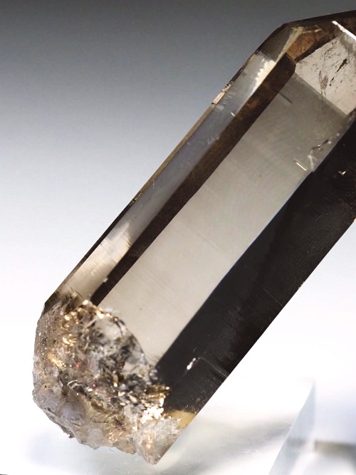 �X���[�L�[�N�H�[�c�X�C�X�A���v�X�����P���� 62mm 41g (36-42)