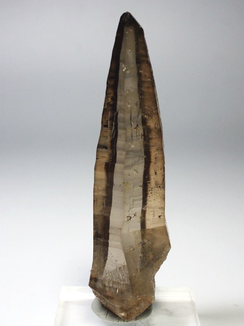 �e�b�V���n�r�b�g�^�X���[�L�[�N�H�[�c�X�C�X�A���v�X�����P���� 83mm 53g (36-4)