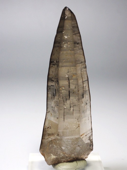 �e�b�V���n�r�b�g�^�X���[�L�[�N�H�[�c�X�C�X�A���v�X�����P���� 83mm 53g (36-4)