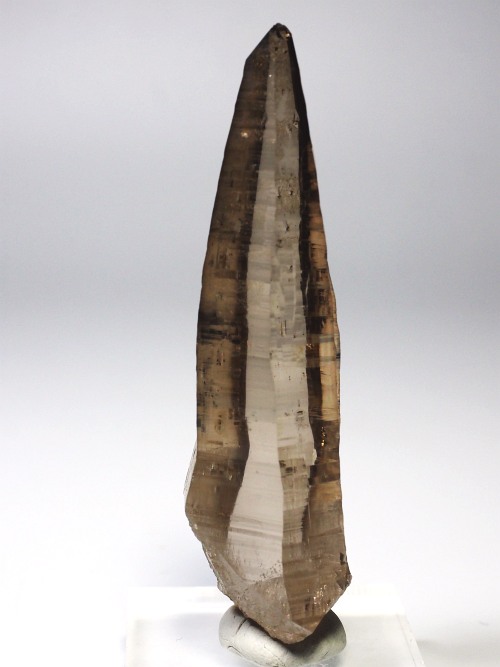 �e�b�V���n�r�b�g�^�X���[�L�[�N�H�[�c�X�C�X�A���v�X�����P���� 83mm 53g (36-4)