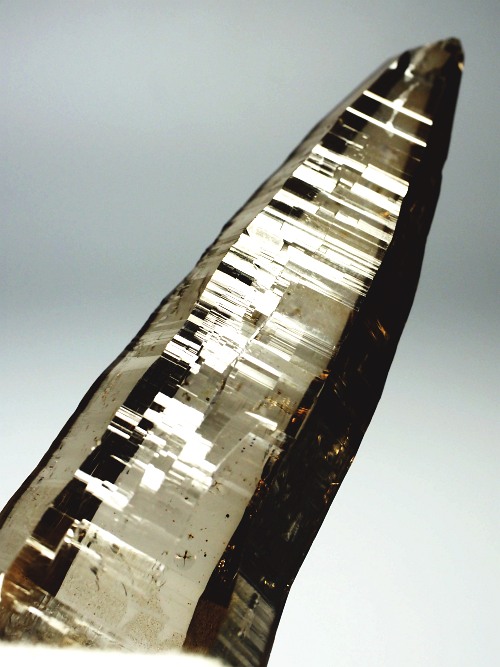 �e�b�V���n�r�b�g�^�X���[�L�[�N�H�[�c�X�C�X�A���v�X�����P���� 83mm 53g (36-4)