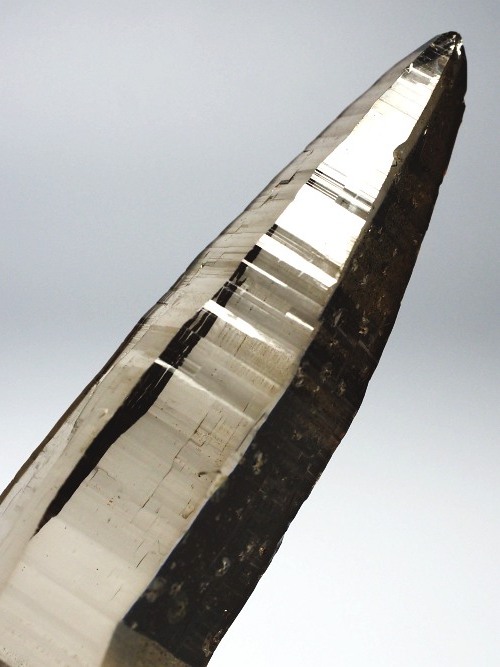 �e�b�V���n�r�b�g�^�X���[�L�[�N�H�[�c�X�C�X�A���v�X�����P���� 83mm 53g (36-4)