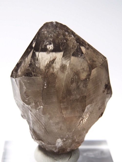 �X���[�L�[�N�H�[�c�X�C�X�A���v�X�����P���� 45mm 53g (36-68)