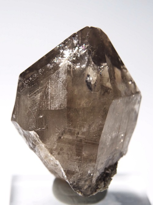 �X���[�L�[�N�H�[�c�X�C�X�A���v�X�����P���� 45mm 53g (36-68)