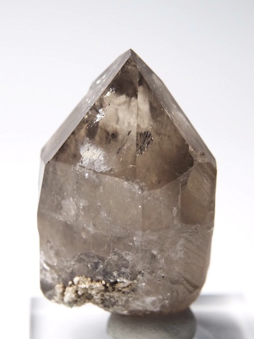 �X���[�L�[�N�H�[�c�X�C�X�A���v�X�����P���� 45mm 53g (36-68)