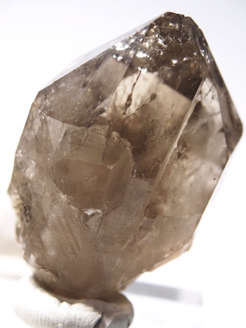 �X���[�L�[�N�H�[�c�X�C�X�A���v�X�����P���� 45mm 53g (36-68)