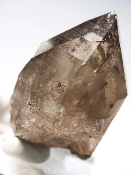 �X���[�L�[�N�H�[�c�X�C�X�A���v�X�����P���� 45mm 53g (36-68)