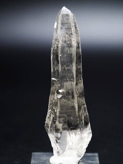 �e�b�V���n�r�b�g�^�N�H�[�c �X�C�X�A���v�X�����P���� 93mm 53g (29-4)