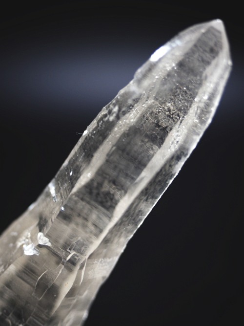 �e�b�V���n�r�b�g�^�N�H�[�c �X�C�X�A���v�X�����P���� 93mm 53g (29-4)