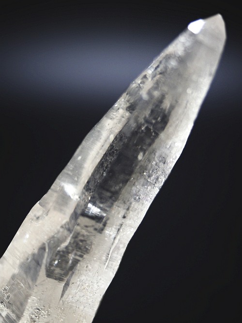 �e�b�V���n�r�b�g�^�N�H�[�c �X�C�X�A���v�X�����P���� 93mm 53g (29-4)