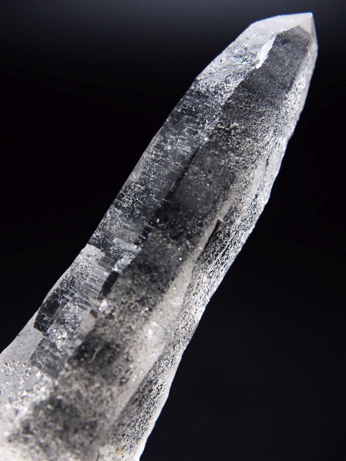 �e�b�V���n�r�b�g�^�N�H�[�c �X�C�X�A���v�X�����P���� 93mm 53g (29-4)