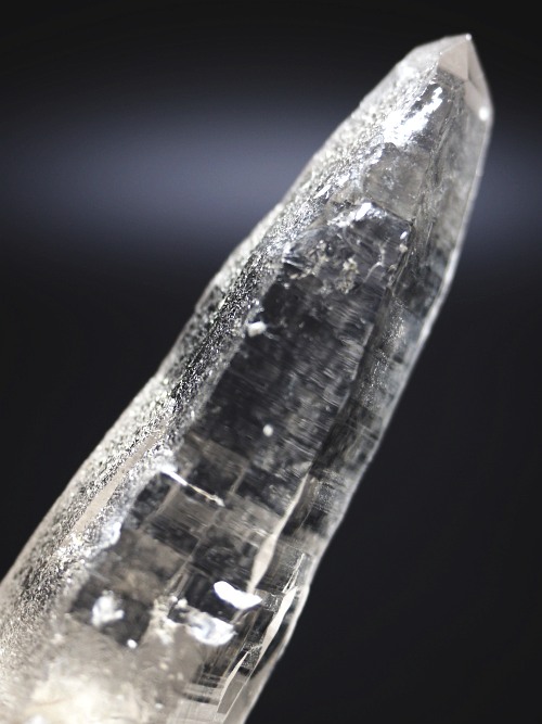 �e�b�V���n�r�b�g�^�N�H�[�c �X�C�X�A���v�X�����P���� 93mm 53g (29-4)