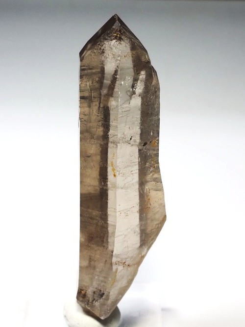 �X���[�L�[�N�H�[�c�X�C�X�A���v�X�����P���� 88mm 54g (37-30)