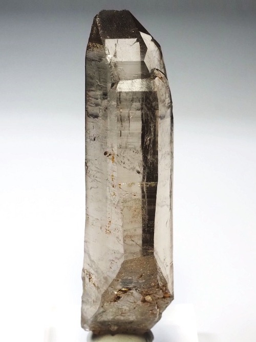 �X���[�L�[�N�H�[�c�X�C�X�A���v�X�����P���� 88mm 54g (37-30)