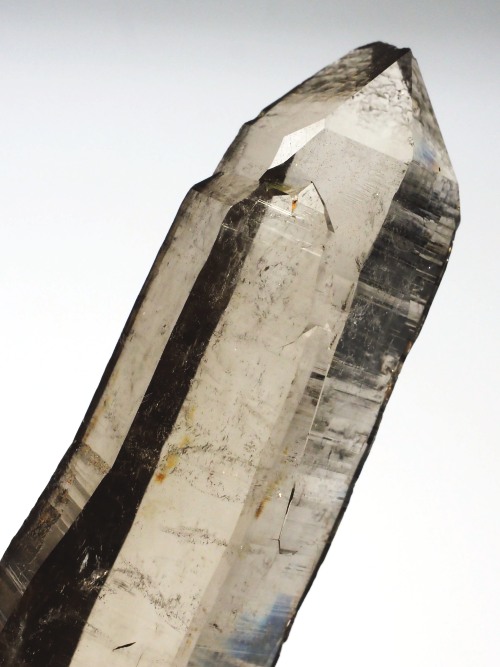 �X���[�L�[�N�H�[�c�X�C�X�A���v�X�����P���� 88mm 54g (37-30)