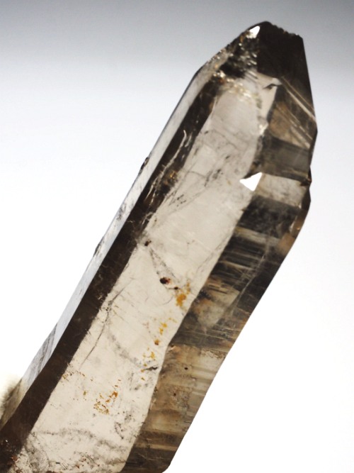 �X���[�L�[�N�H�[�c�X�C�X�A���v�X�����P���� 88mm 54g (37-30)