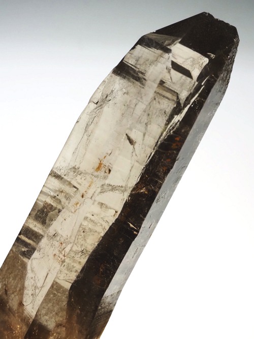 �X���[�L�[�N�H�[�c�X�C�X�A���v�X�����P���� 88mm 54g (37-30)