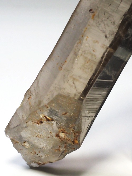 �X���[�L�[�N�H�[�c�X�C�X�A���v�X�����P���� 88mm 54g (37-30)