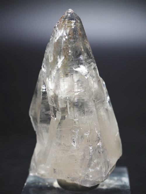 �e�b�V���n�r�b�g�^�N�H�[�c�X�C�X�A���v�X�����P���� 63mm 58g (32-11)