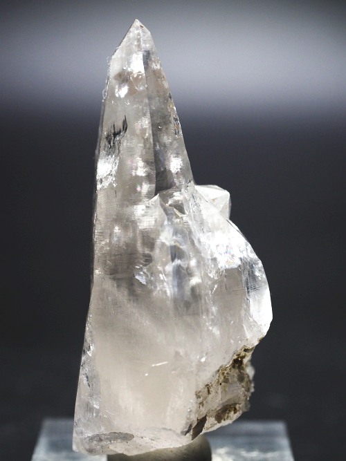 �e�b�V���n�r�b�g�^�N�H�[�c�X�C�X�A���v�X�����P���� 63mm 58g (32-11)