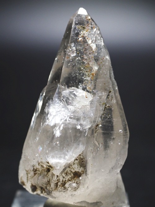 �e�b�V���n�r�b�g�^�N�H�[�c�X�C�X�A���v�X�����P���� 63mm 58g (32-11)