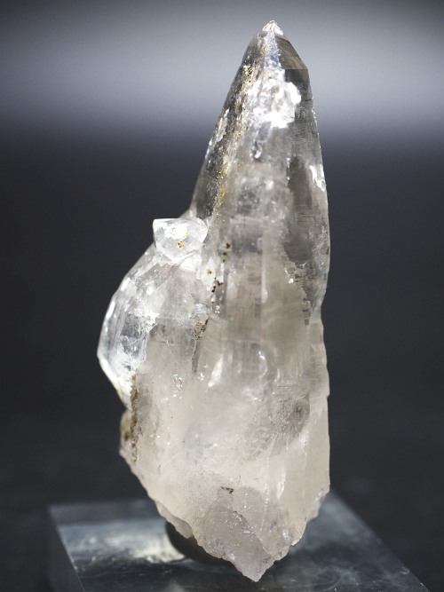 �e�b�V���n�r�b�g�^�N�H�[�c�X�C�X�A���v�X�����P���� 63mm 58g (32-11)