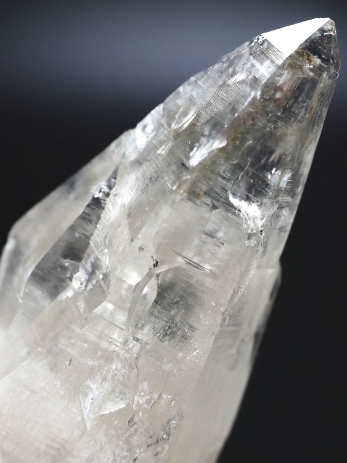 �e�b�V���n�r�b�g�^�N�H�[�c�X�C�X�A���v�X�����P���� 63mm 58g (32-11)