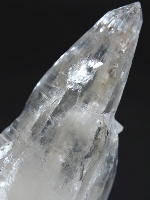 �e�b�V���n�r�b�g�^�N�H�[�c�X�C�X�A���v�X�����P���� 63mm 58g (32-11)