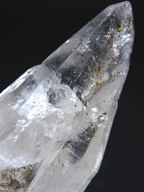 �e�b�V���n�r�b�g�^�N�H�[�c�X�C�X�A���v�X�����P���� 63mm 58g (32-11)