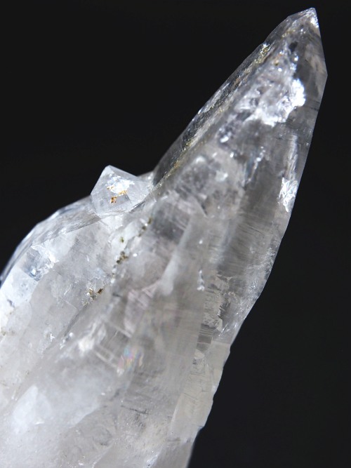 �e�b�V���n�r�b�g�^�N�H�[�c�X�C�X�A���v�X�����P���� 63mm 58g (32-11)