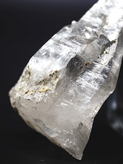 �e�b�V���n�r�b�g�^�N�H�[�c�X�C�X�A���v�X�����P���� 63mm 58g (32-11)