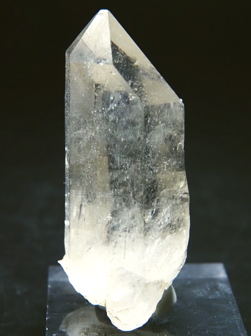 �X�C�X�A���v�X�����P���� 60mm 59g (37-21)