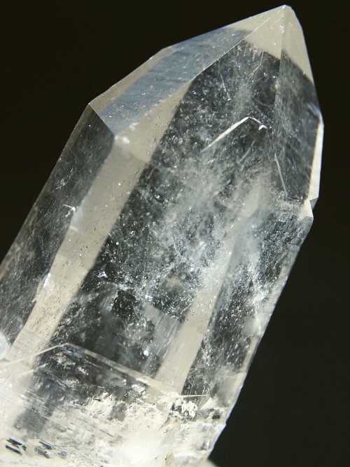 �X�C�X�A���v�X�����P���� 60mm 59g (37-21)