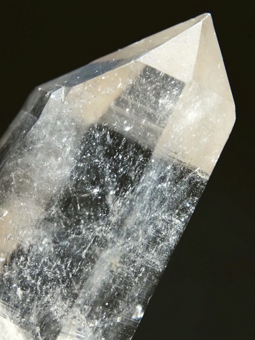 �X�C�X�A���v�X�����P���� 60mm 59g (37-21)