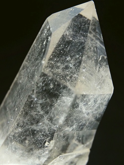 �X�C�X�A���v�X�����P���� 60mm 59g (37-21)