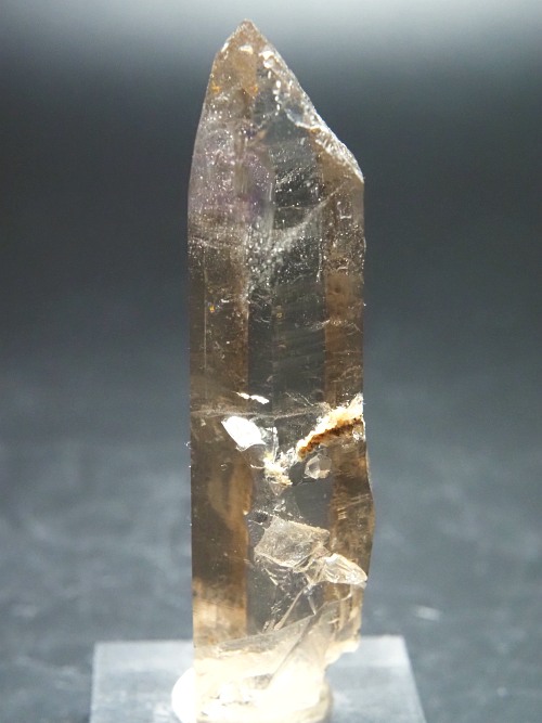 ���X���[�L�[�N�H�[�c�X�C�X�A���v�X�����P���� 85mm 60g (37-31)