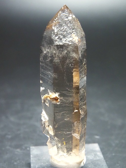 ���X���[�L�[�N�H�[�c�X�C�X�A���v�X�����P���� 85mm 60g (37-31)