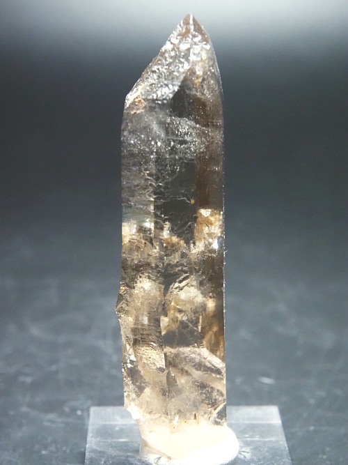 ���X���[�L�[�N�H�[�c�X�C�X�A���v�X�����P���� 85mm 60g (37-31)