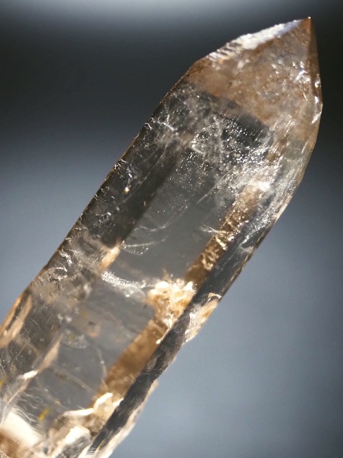 ���X���[�L�[�N�H�[�c�X�C�X�A���v�X�����P���� 85mm 60g (37-31)