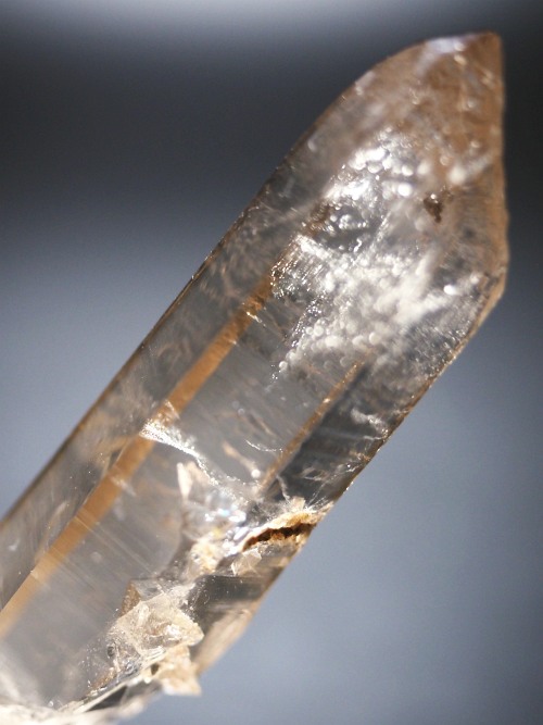 ���X���[�L�[�N�H�[�c�X�C�X�A���v�X�����P���� 85mm 60g (37-31)