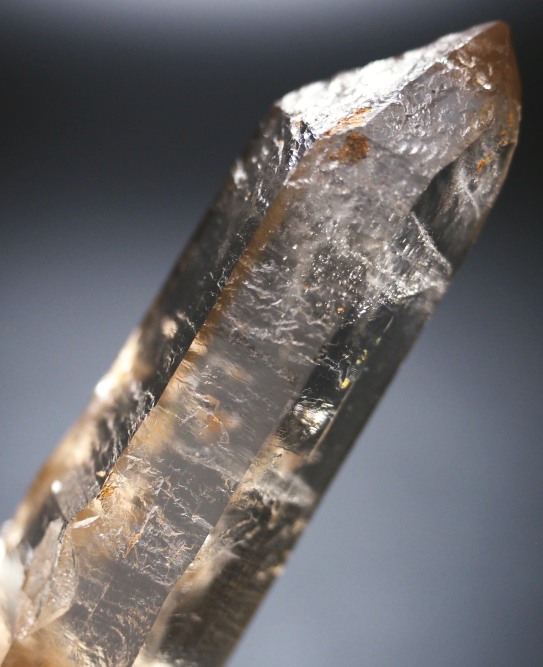 ���X���[�L�[�N�H�[�c�X�C�X�A���v�X�����P���� 85mm 60g (37-31)