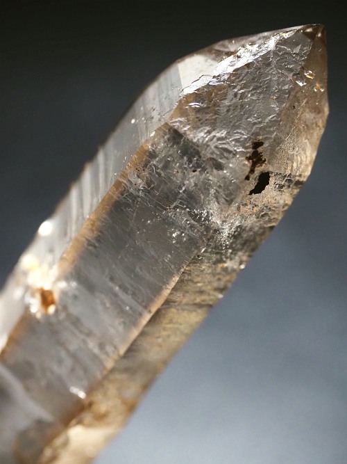 ���X���[�L�[�N�H�[�c�X�C�X�A���v�X�����P���� 85mm 60g (37-31)