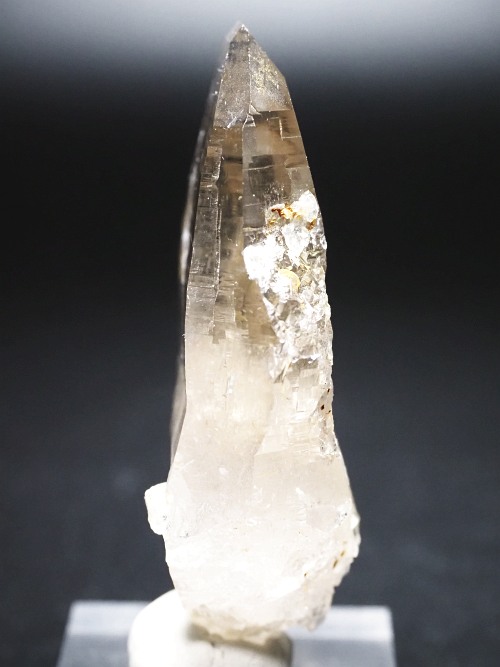 �^�r�[�^�X���[�L�[�N�H�[�c�X�C�X�A���v�X�����P���� 72mm 62g (37-91)