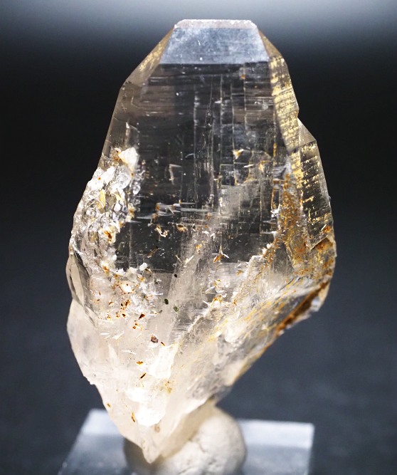 �^�r�[�^�X���[�L�[�N�H�[�c�X�C�X�A���v�X�����P���� 72mm 62g (37-91)